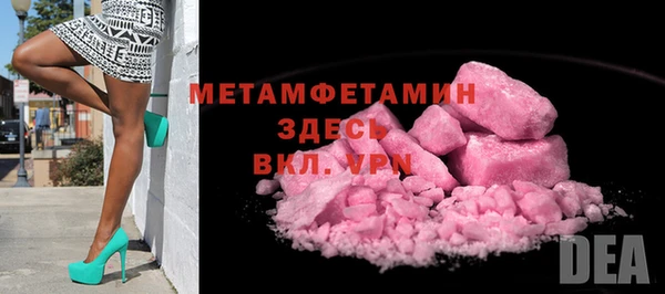 прущие грибы Медногорск
