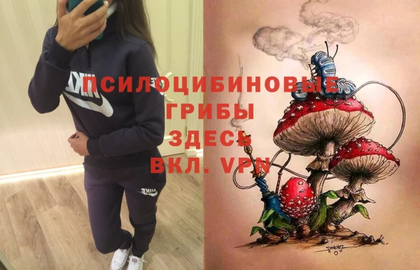 прущая мука Абаза