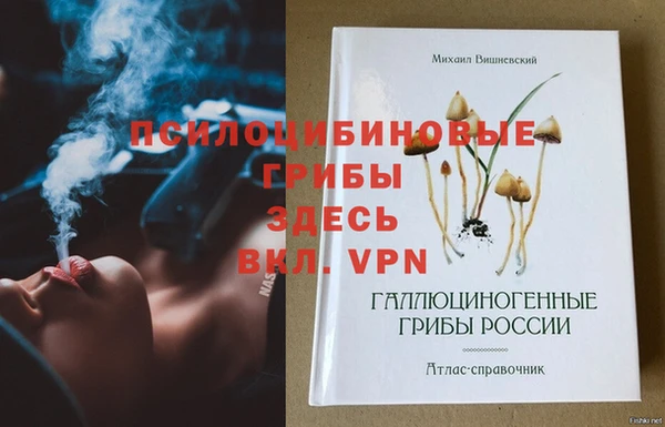 ПСИЛОЦИБИНОВЫЕ ГРИБЫ Мегион
